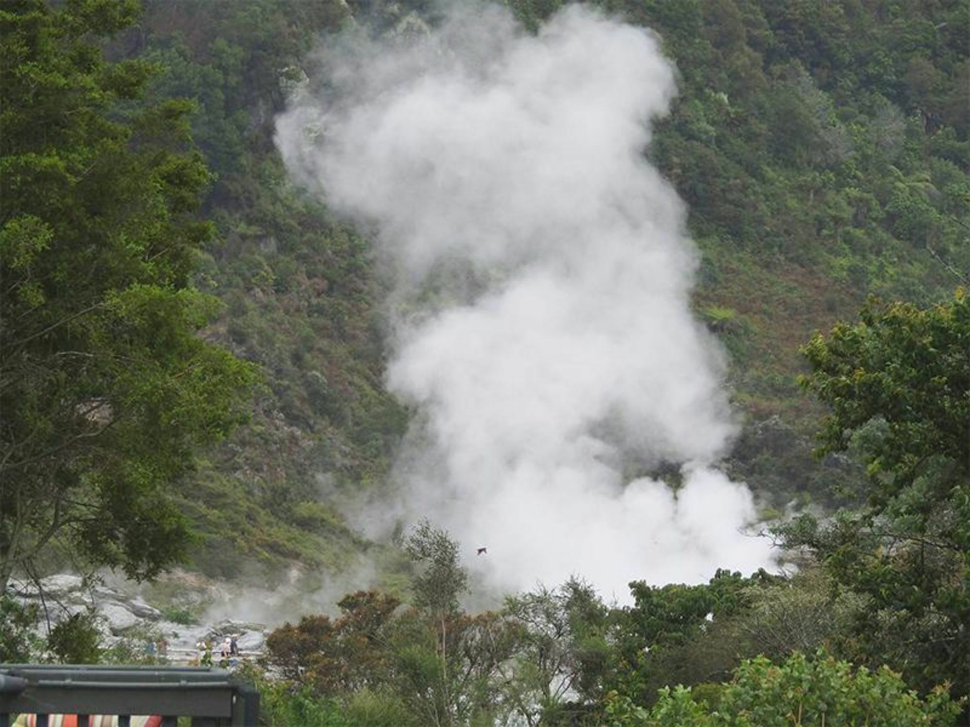 ポフツ ロッジ モーテル ロトルア エクステリア 写真